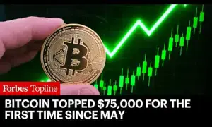 Bitcoin Price Surges Past $75,000: What Drove the Crypto Rally?