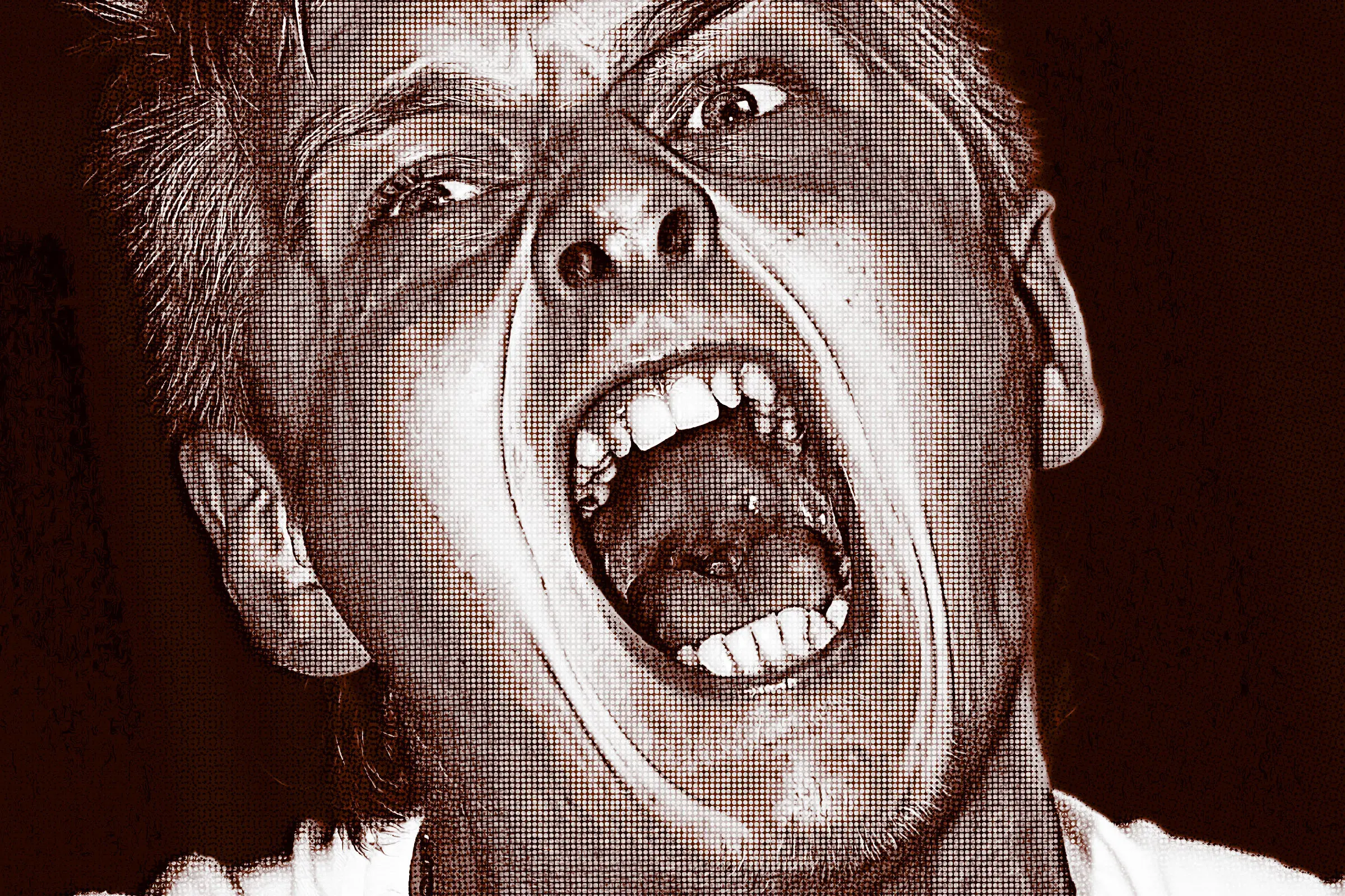 Crypto Bros in Meltdown as Bitcoin Crashes: What Investors Should Know