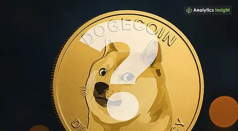 Is It Too Late to Invest in Dogecoin? Price Prediction & New ETPs Explained