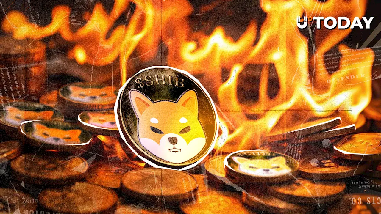 Shiba Inu Burn Reaches 41.08% — What This Means for SHIB Tokenomics