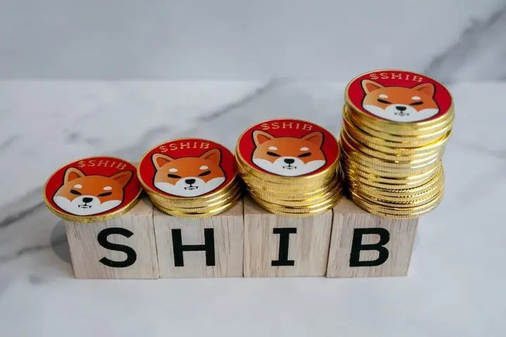 Shiba Inu's Token Burn Surge and Market Dynamics: What Traders Need to Know