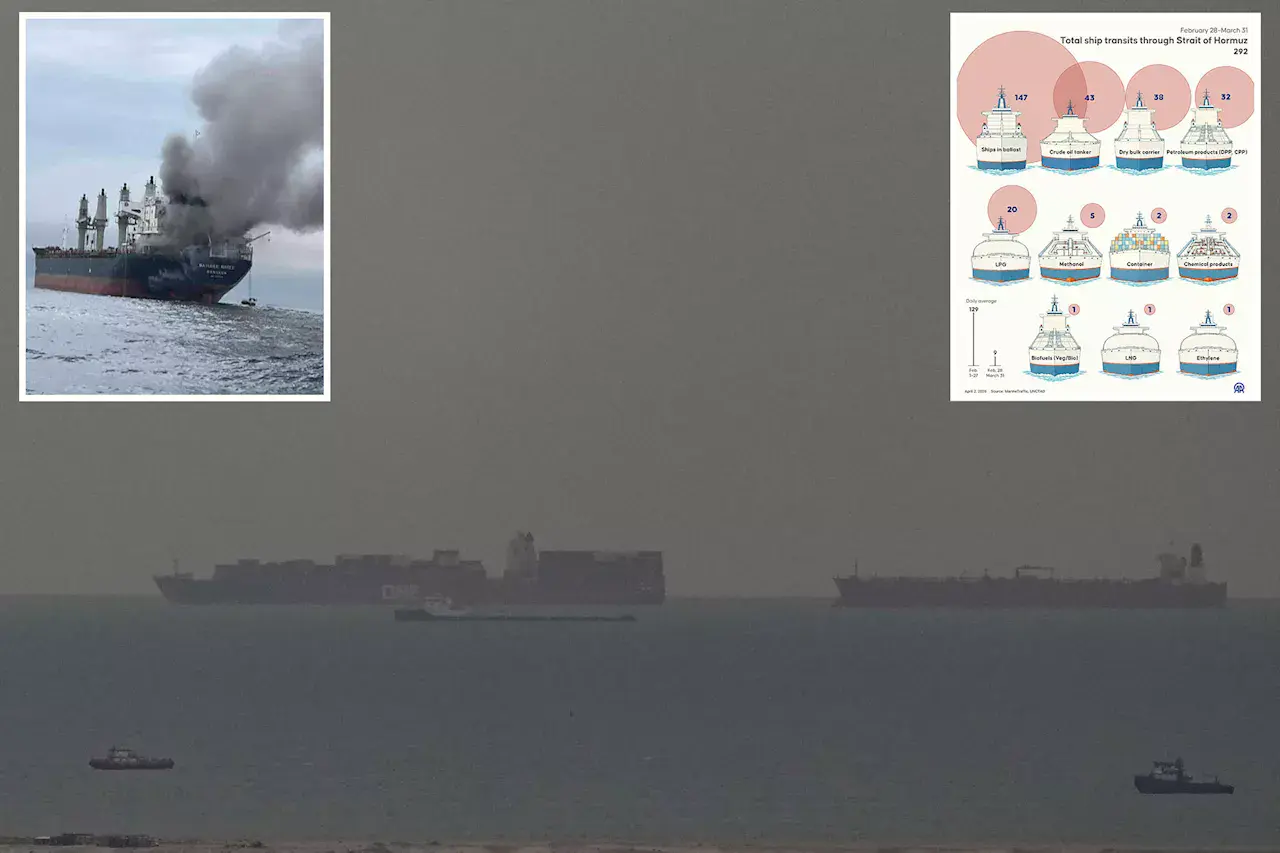 U.S. Opposes Iran Charging Oil Tankers in Strait of Hormuz